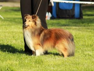 Mekky Želečské vrchy