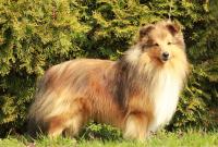 Mekky Želečské vrchy