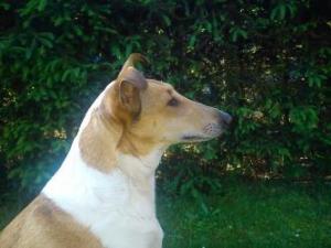 Natalie Krásná louka