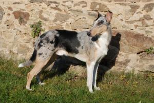 Erik of Bohemia balada