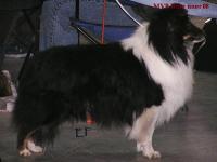 Zirl Black Vlčí žleb