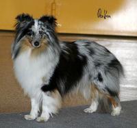 Happy Chance z Ďáblovy studánky