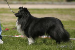 Ebonny z Dřevěné Chaloupky