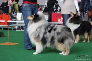 Eger Fee Elvie from River Agara