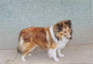 CHIMÉRA ze Sedlmajerovy vily