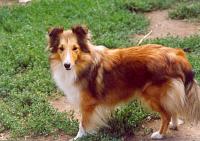 CHIMÉRA ze Sedlmajerovy vily