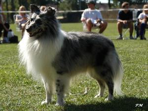 ZANZIBAR z Ďáblovy studánky