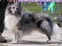 ZANZIBAR z Ďáblovy studánky