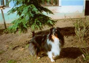 NICO BLACK z Černé hlásky