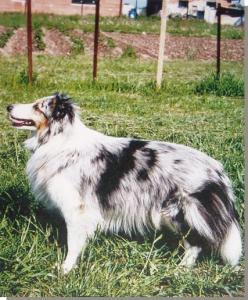 BRITNEY z Josefovské pevnosti