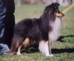 UNIQUE URCHIN z Ďáblovy studánky