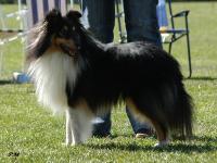 UNIQUE URCHIN z Ďáblovy studánky