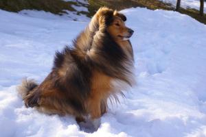 QUIZ GOLD Moravské srdce