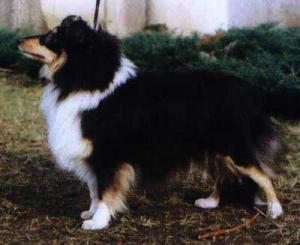 ROMANCE BLACK Moravské srdce