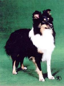 AMALIE BLACK z Alminy ohrady