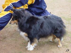 BACARDI z Ďáblovy studánky CS