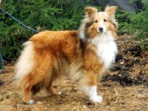 CASANDRA Slapská alej CS