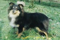 CASIE z Vesničky u hranic CS