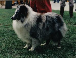 CAYLE Větrný dvůr CS