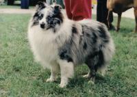 CAYLE Větrný dvůr CS