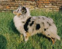 CELIE z Davelského kaňonu CS