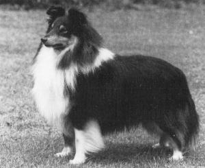 CULTURED AT CASHELLA