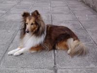 DARKA z Davelského kaňonu CS