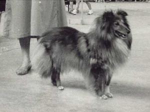 DERA ze Skrýšovské rokle CS