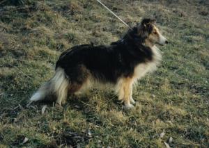 EVONA Nymburská rychta CS