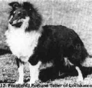 Francehill Fortune Teller of Lochkaren