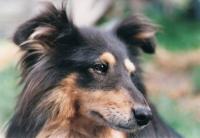 FREE z Vesničky u hranic CS