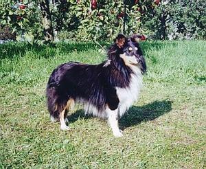 FREE z Vesničky u hranic CS