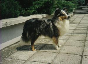 IAVAN Slapská alej CS