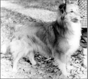 MIA z Vesničky u hranic CS