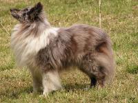 ROCK'N ROLL z Ďáblovy studánky CS