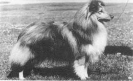 Sandpiper of Sharval