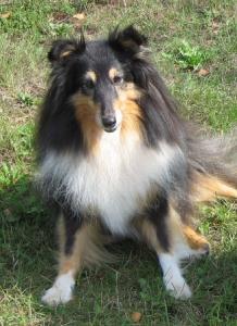 TINA TURNER z Ďáblovy studánky CS