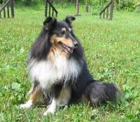 TINA TURNER z Ďáblovy studánky CS