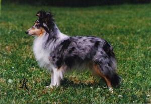 YOUNG FOR EVER z Ďáblovy studánky CS