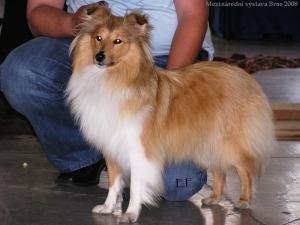 ADÉLKA Chlupaté Štěstí