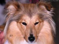 ADÉLKA Chlupaté Štěstí