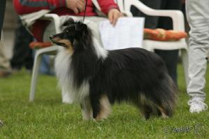 ADONE z Labského ostrova