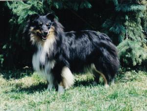 AFŠAK Jezero Krudum