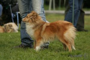 Agina z Radětínské skály