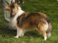 AJLEE z Duhové aury