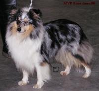 AMÁLKA od Kamenité říčky