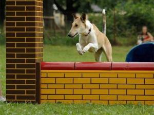 Girlie Krásná Louka