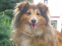 ANGIE GOLD z Bystrckého údolí