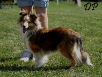 ANNIE GOLD z Holické stráně