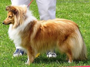 ANTIKA z Ďáblovy studánky